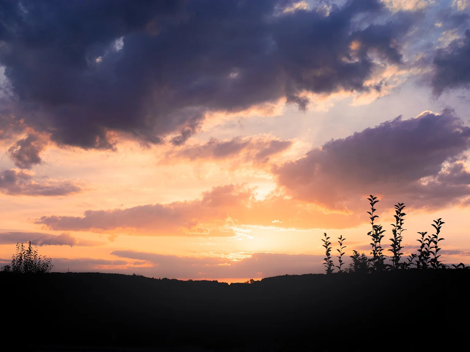 Abendhimmel mit dunklen Wolken, die Sonne geht hinter einem Hügel mit Gräsern unter