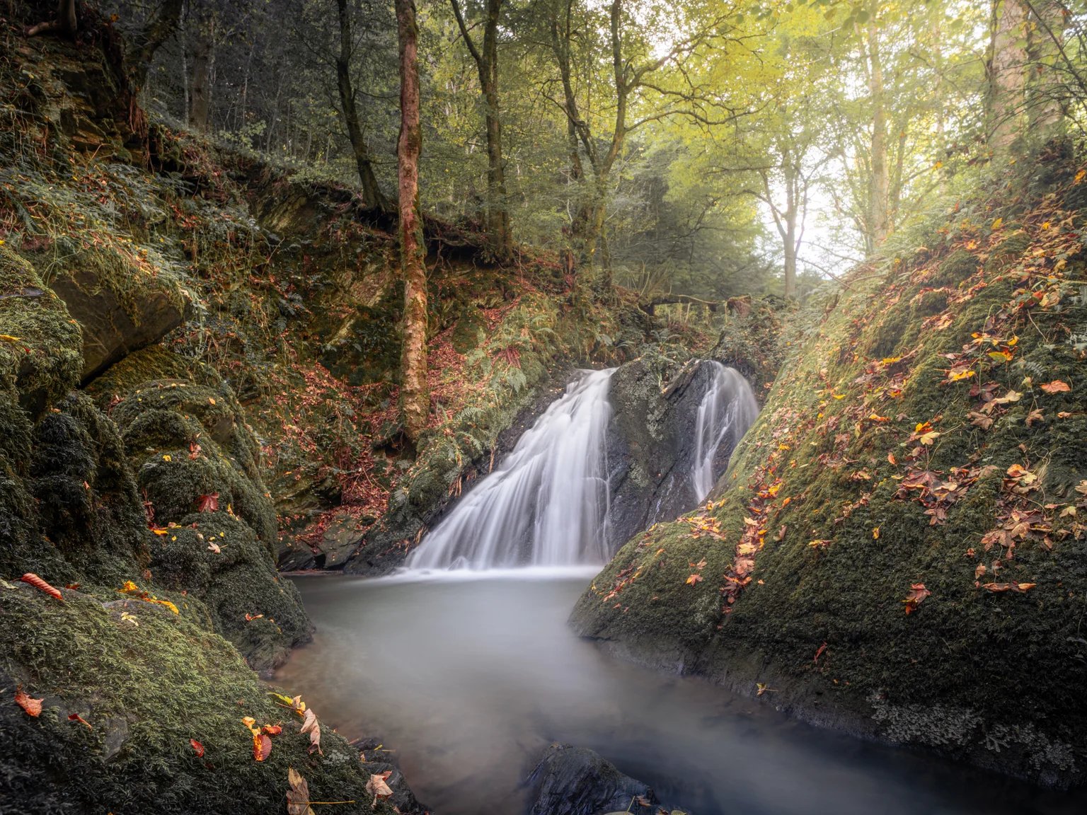Ein Wasserfall stürzt über dunkle Felsen in ein Waldtal, die Hänge sind dicht bemoost und mit Herbstlaub bedeckt